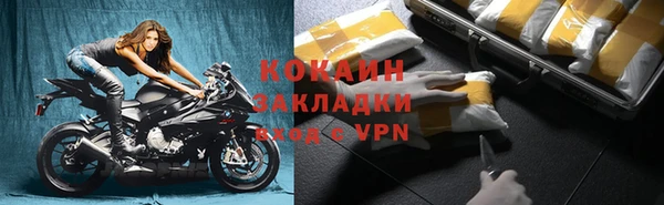 шишки Богородск
