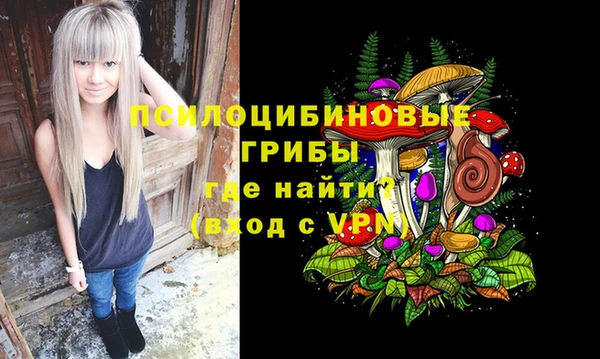 шишки Богородск
