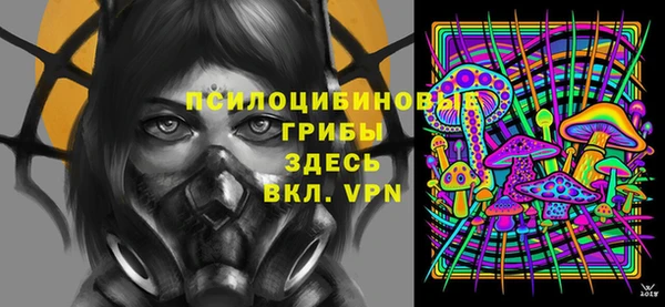 шишки Богородск