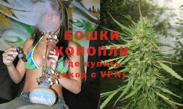 шишки Богородск